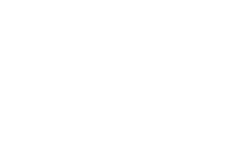 Anna Elisabeth Fine Fabrics