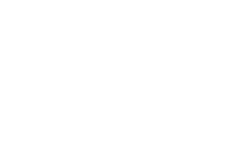 Brunschwig & Fils